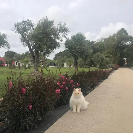 شقة فندقية Sa Pintadera Càbras