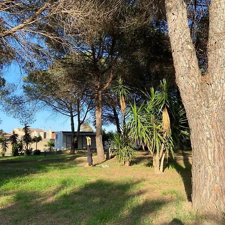 Hotel apartamentowy Sa Pintadera 3*