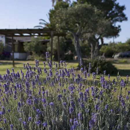 Hotel apartamentowy Sa Pintadera