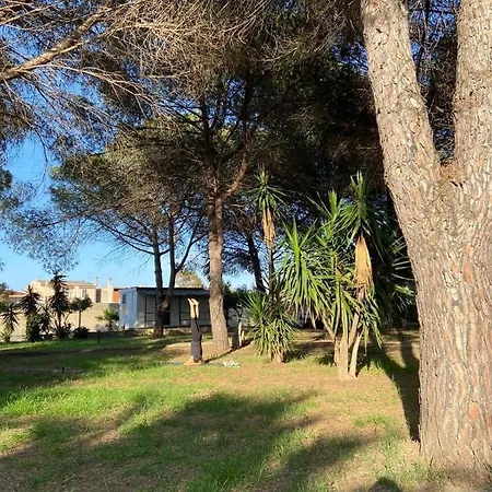Aparthotel Residence Sa Pintadera 2*