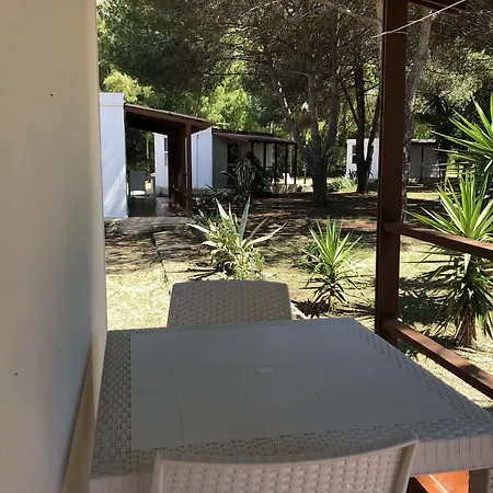 Sa Pintadera Càbras