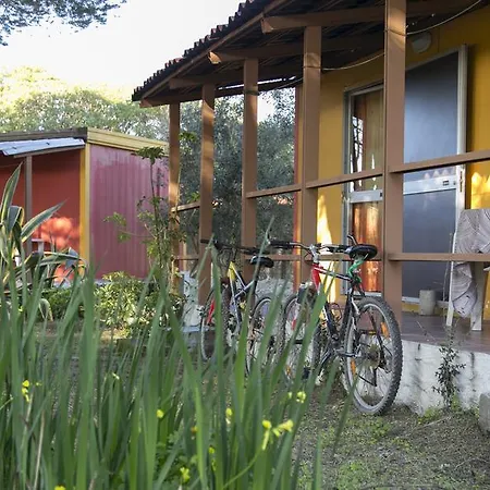 Residence Sa Pintadera Aparthotel
