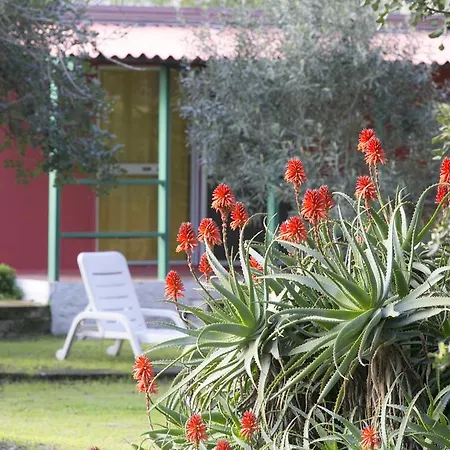 Residence Sa Pintadera Aparthotel Cabras